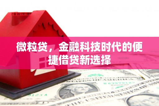 连平微粒贷，金融科技时代的便捷借贷新选择