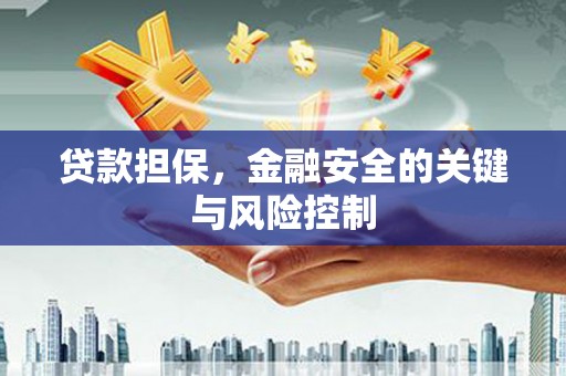 连平贷款担保，金融安全的关键与风险控制