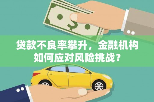 连平贷款不良率攀升，金融机构如何应对风险挑战？