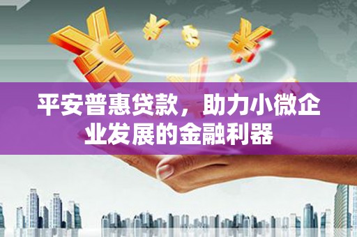 连平平安普惠贷款，助力小微企业发展的金融利器