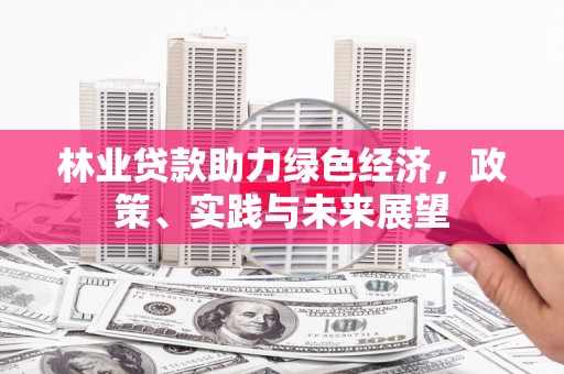 连平林业贷款助力绿色经济，政策、实践与未来展望