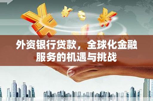 连平外资银行贷款，全球化金融服务的机遇与挑战
