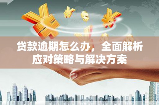连平贷款逾期怎么办，全面解析应对策略与解决方案