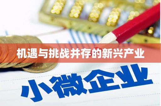 连平机遇与挑战并存的新兴产业