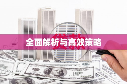 连平全面解析与高效策略