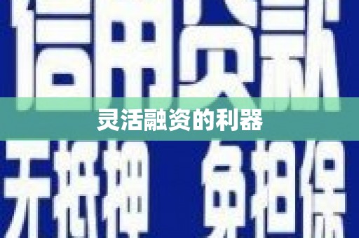 连平灵活融资的利器