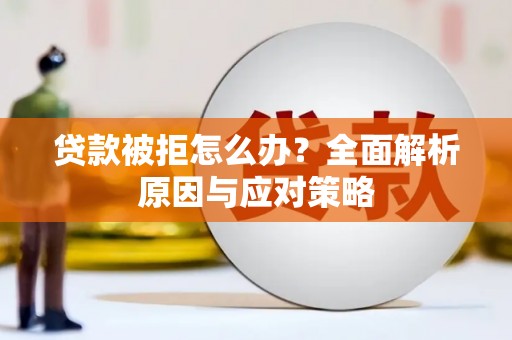 连平贷款被拒怎么办？全面解析原因与应对策略