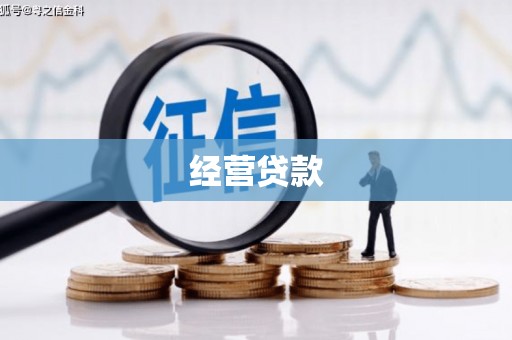 连平经营贷款