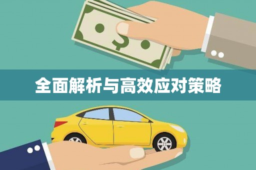 连平全面解析与高效应对策略